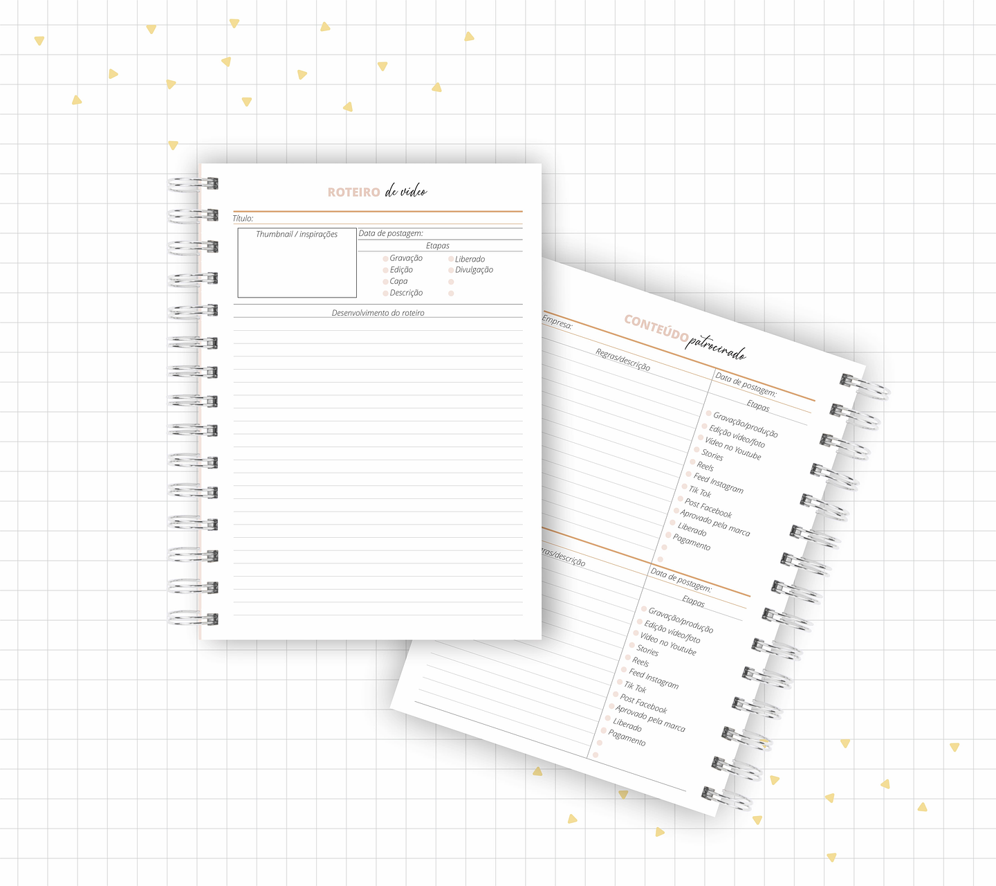 Arquivo Planner Youtuber e Minhas Postagens 2024 em Pdf  5