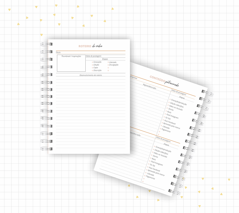Arquivo Planner Youtuber e Minhas Postagens 2024 em Pdf  5