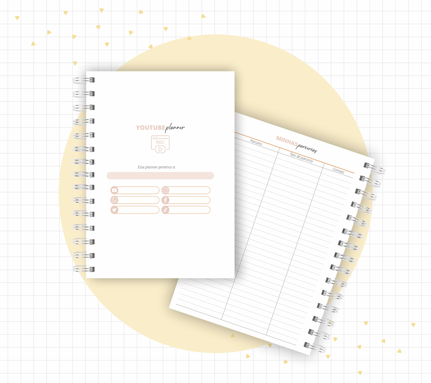 Arquivo Planner Youtuber e Minhas Postagens 2024 em Pdf  9