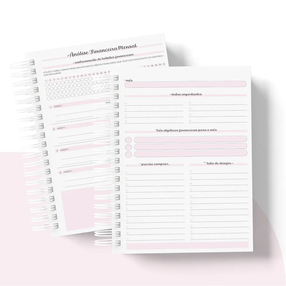 Arquivo Planner Financeiro 2024 em Pdf   10