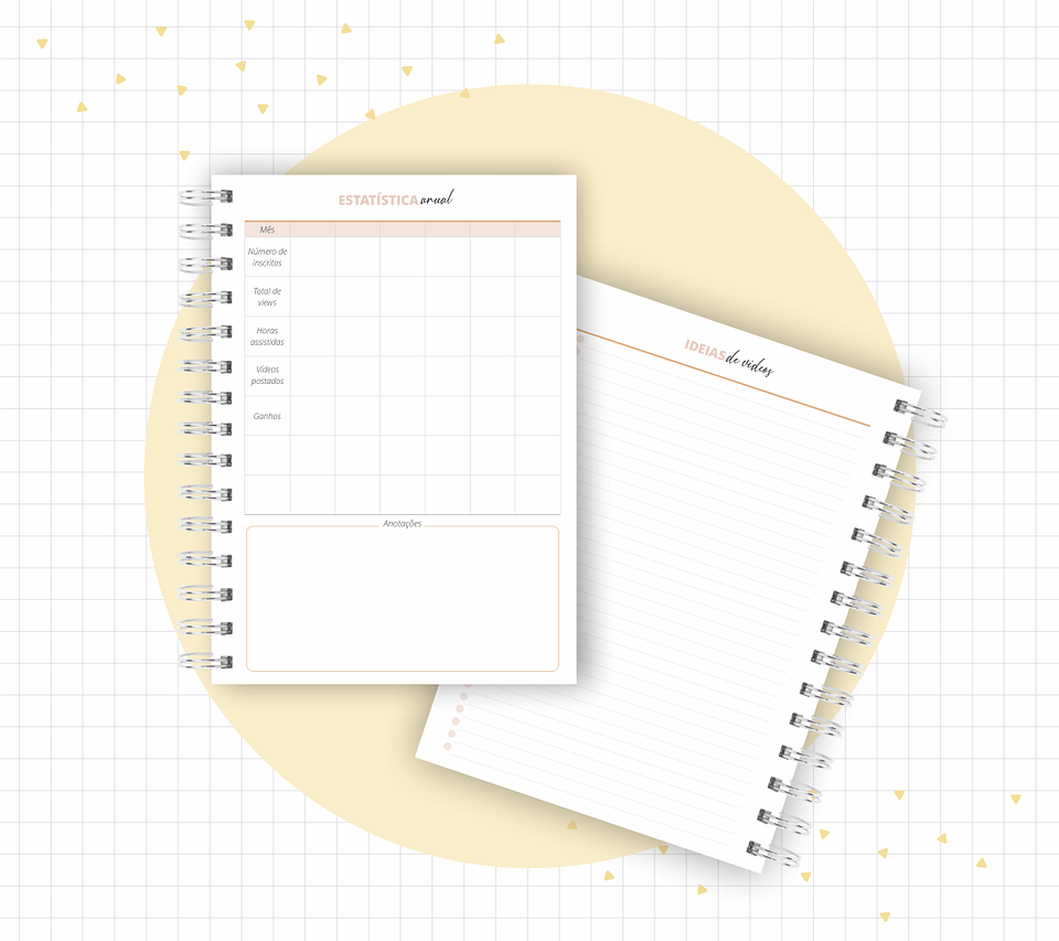 Arquivo Planner Youtuber e Minhas Postagens 2024 em Pdf  10