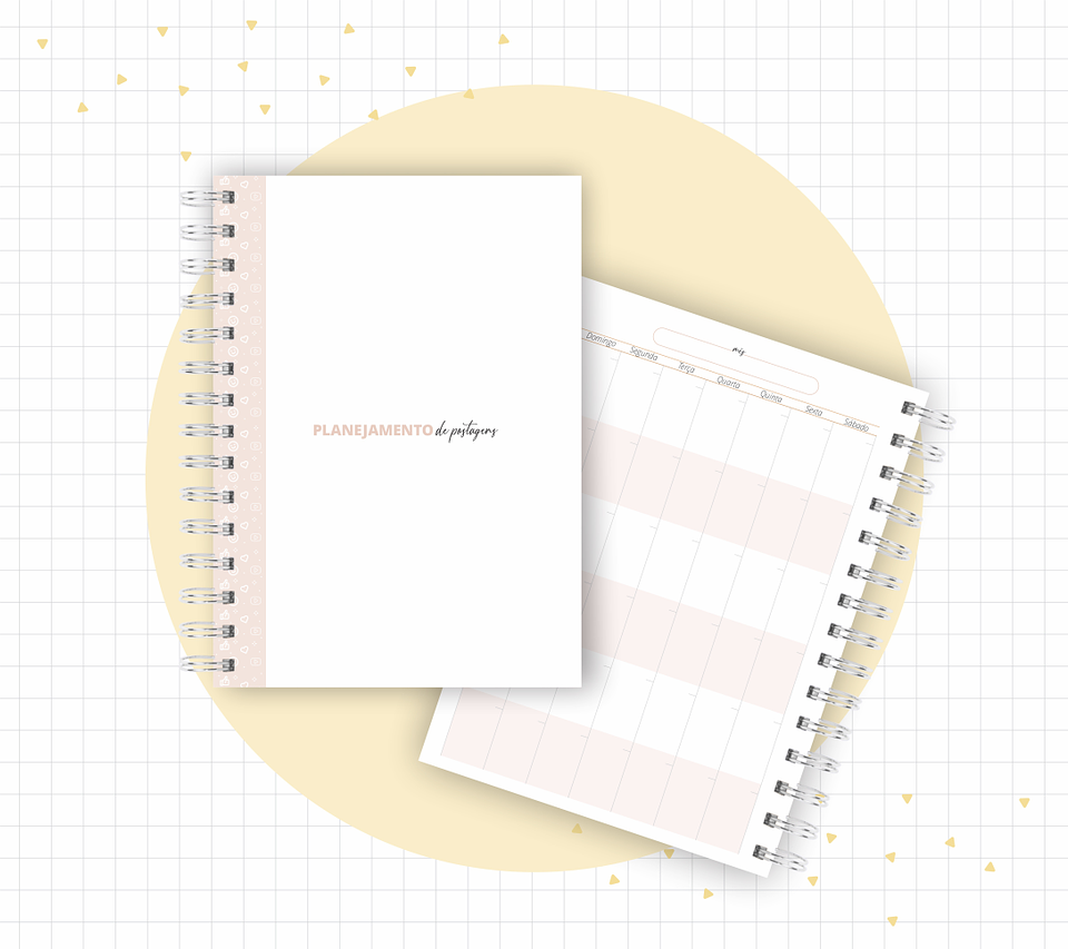 Arquivo Planner Youtuber e Minhas Postagens 2024 em Pdf  11