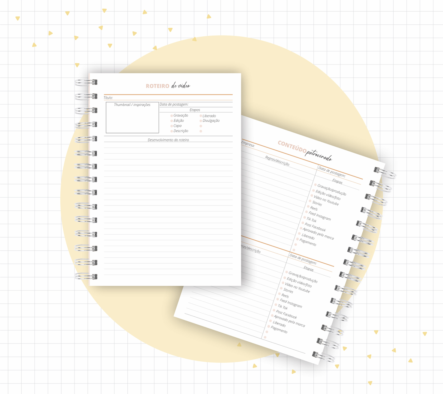 Arquivo Planner Youtuber e Minhas Postagens 2024 em Pdf  12