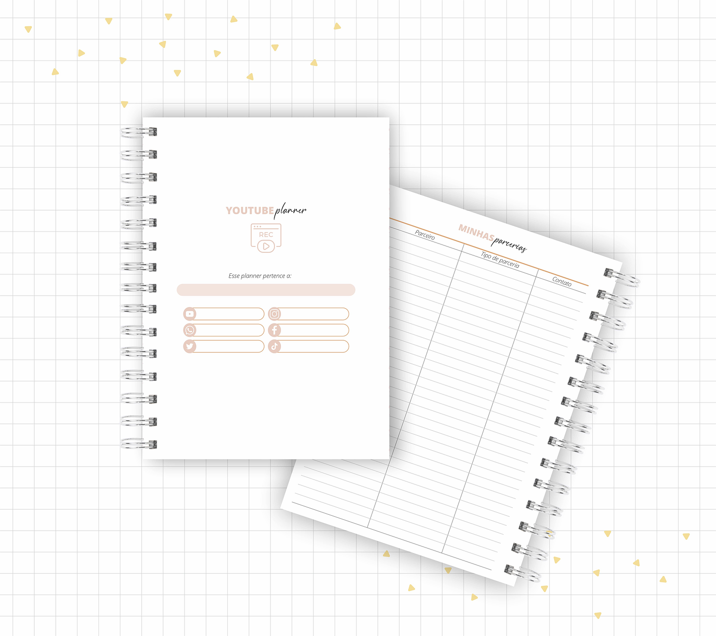 Arquivo Planner Youtuber e Minhas Postagens 2024 em Pdf  13