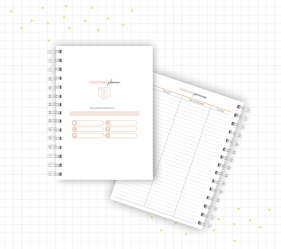 Arquivo Planner Youtuber e Minhas Postagens 2024 em Pdf  13