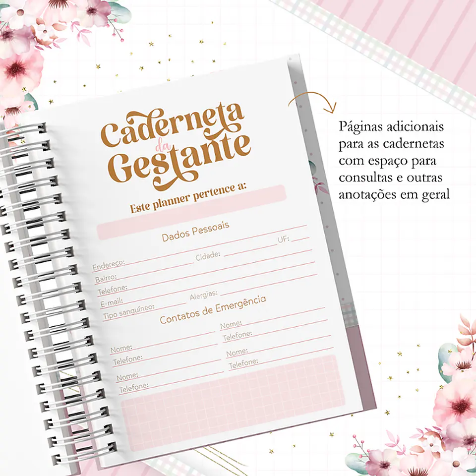 Coleção Agendas Gestantes Completo em Pdf   9