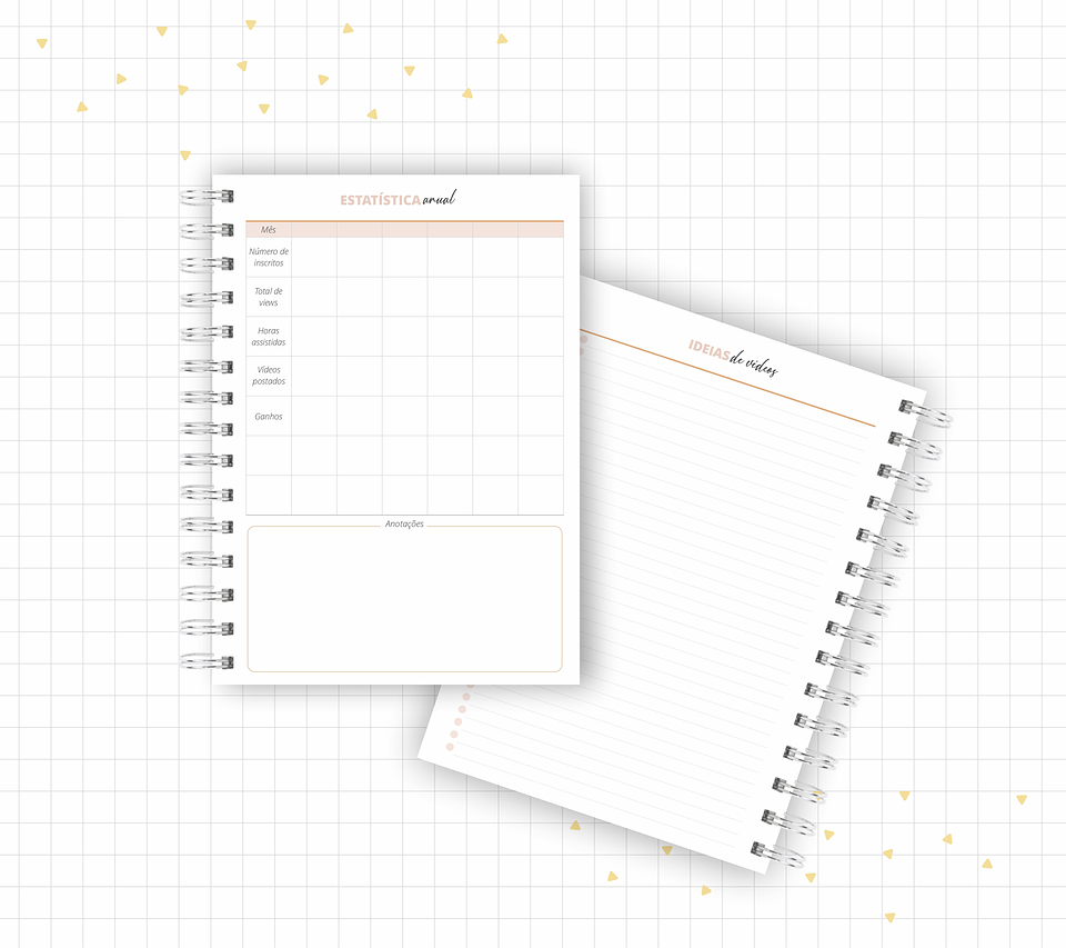Arquivo Planner Youtuber e Minhas Postagens 2024 em Pdf  14
