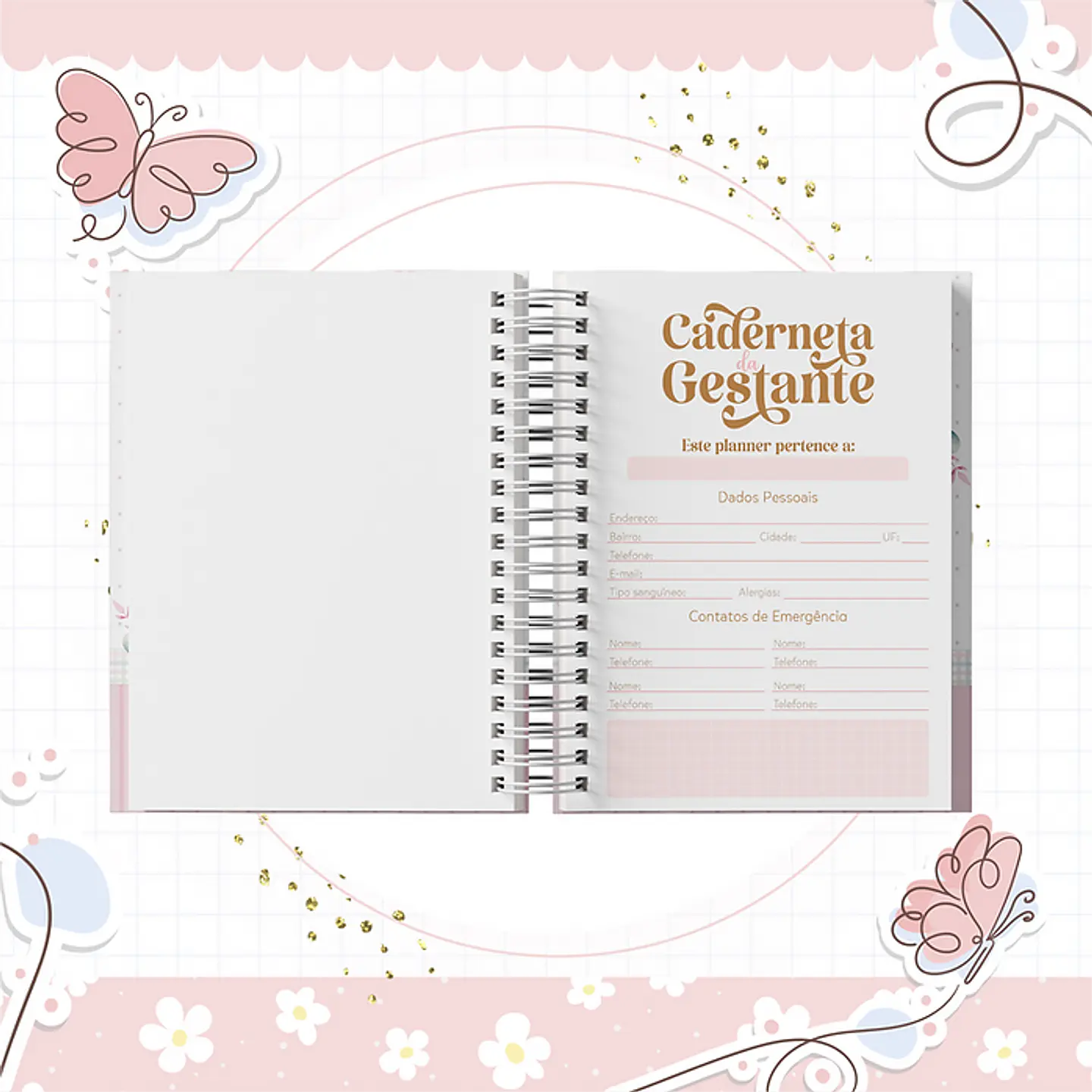 Coleção Agendas Gestantes Completo em Pdf   10