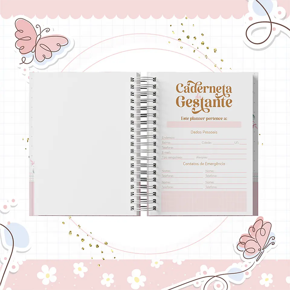 Coleção Agendas Gestantes Completo em Pdf   10