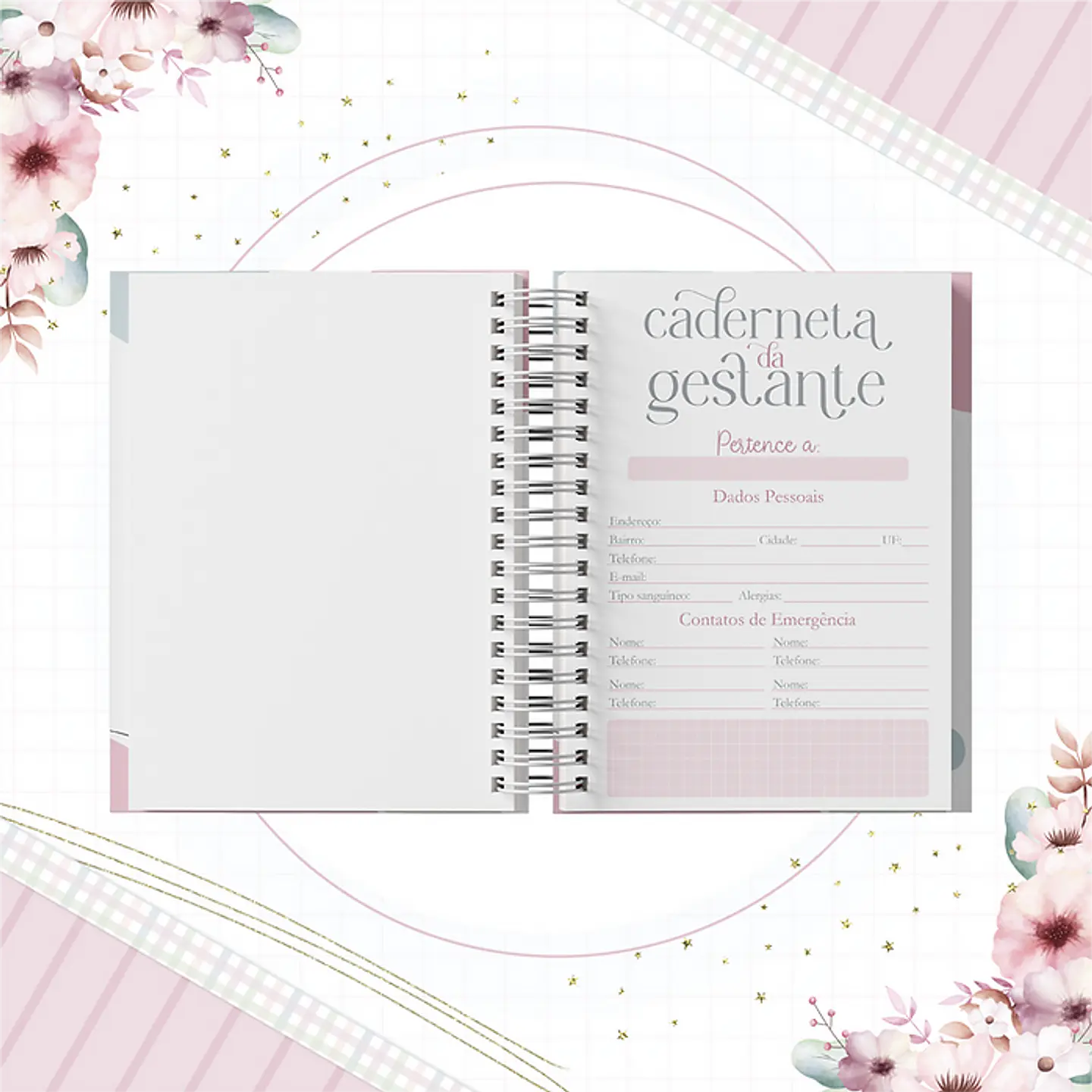 Coleção Agendas Gestantes Completo em Pdf   11