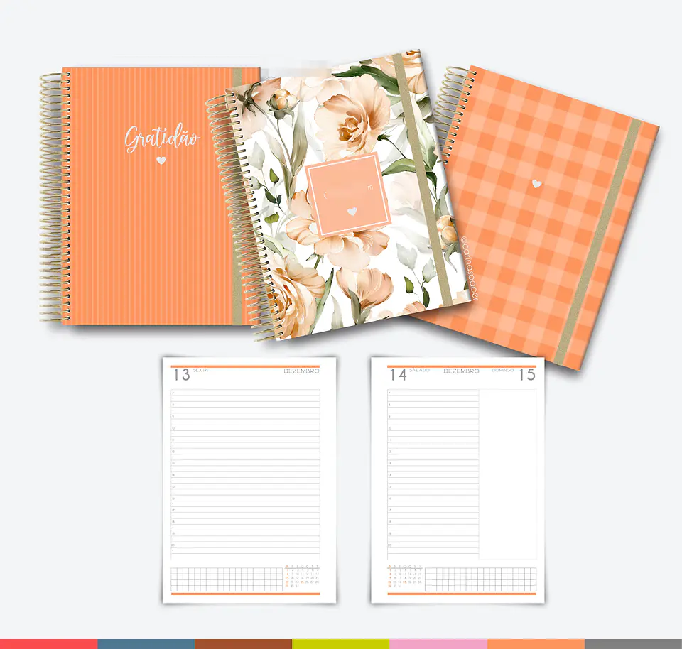 Arquivo Agenda MultiColor 2024 em Pdf  7