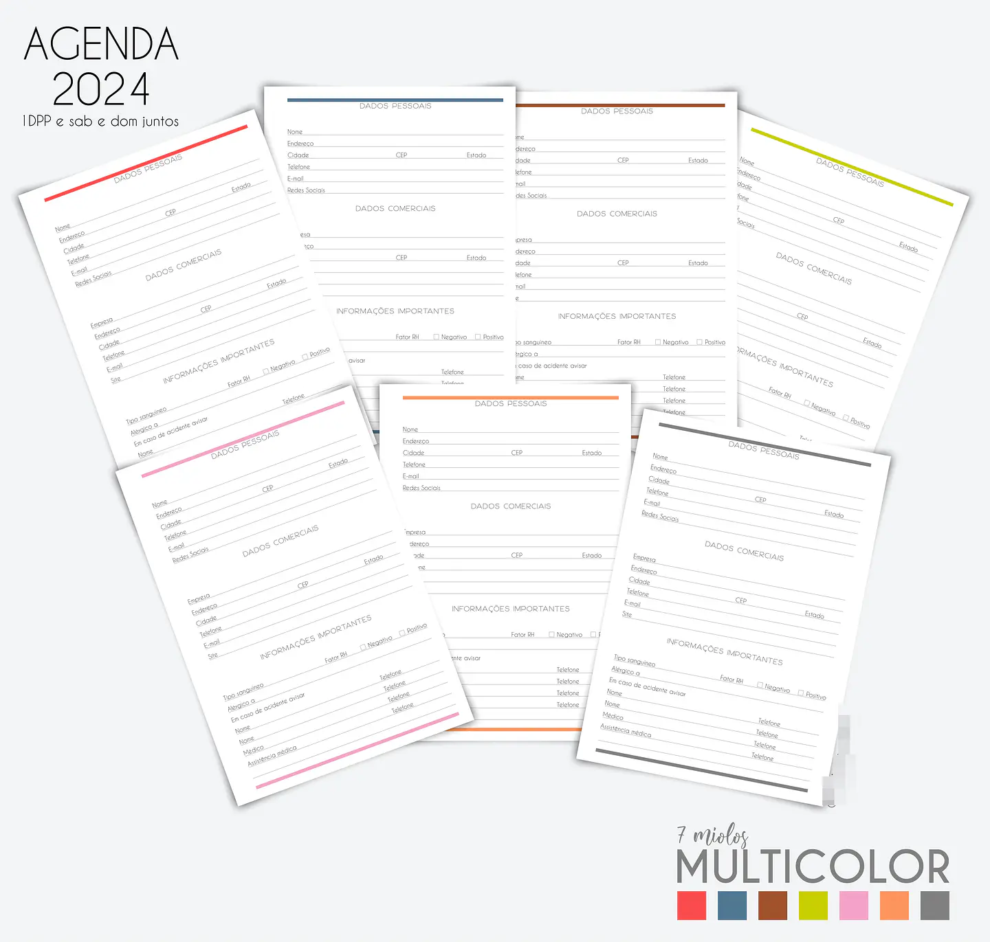 Arquivo Agenda MultiColor 2024 em Pdf  8