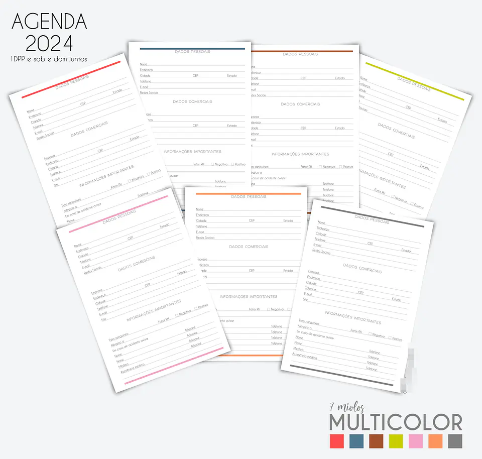 Arquivo Agenda MultiColor 2024 em Pdf  8