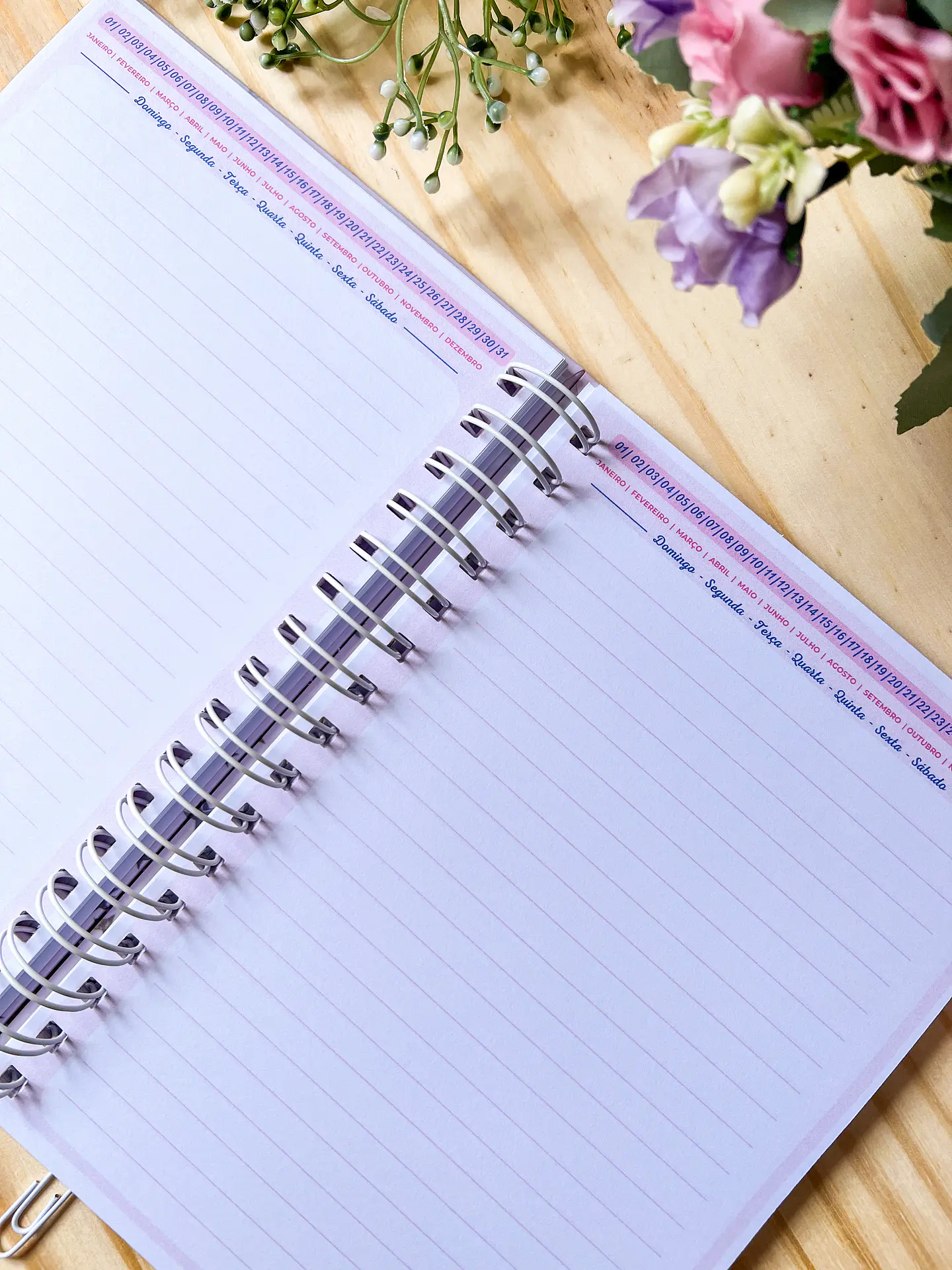 Arquivo Caderno Signos em Pdf 7