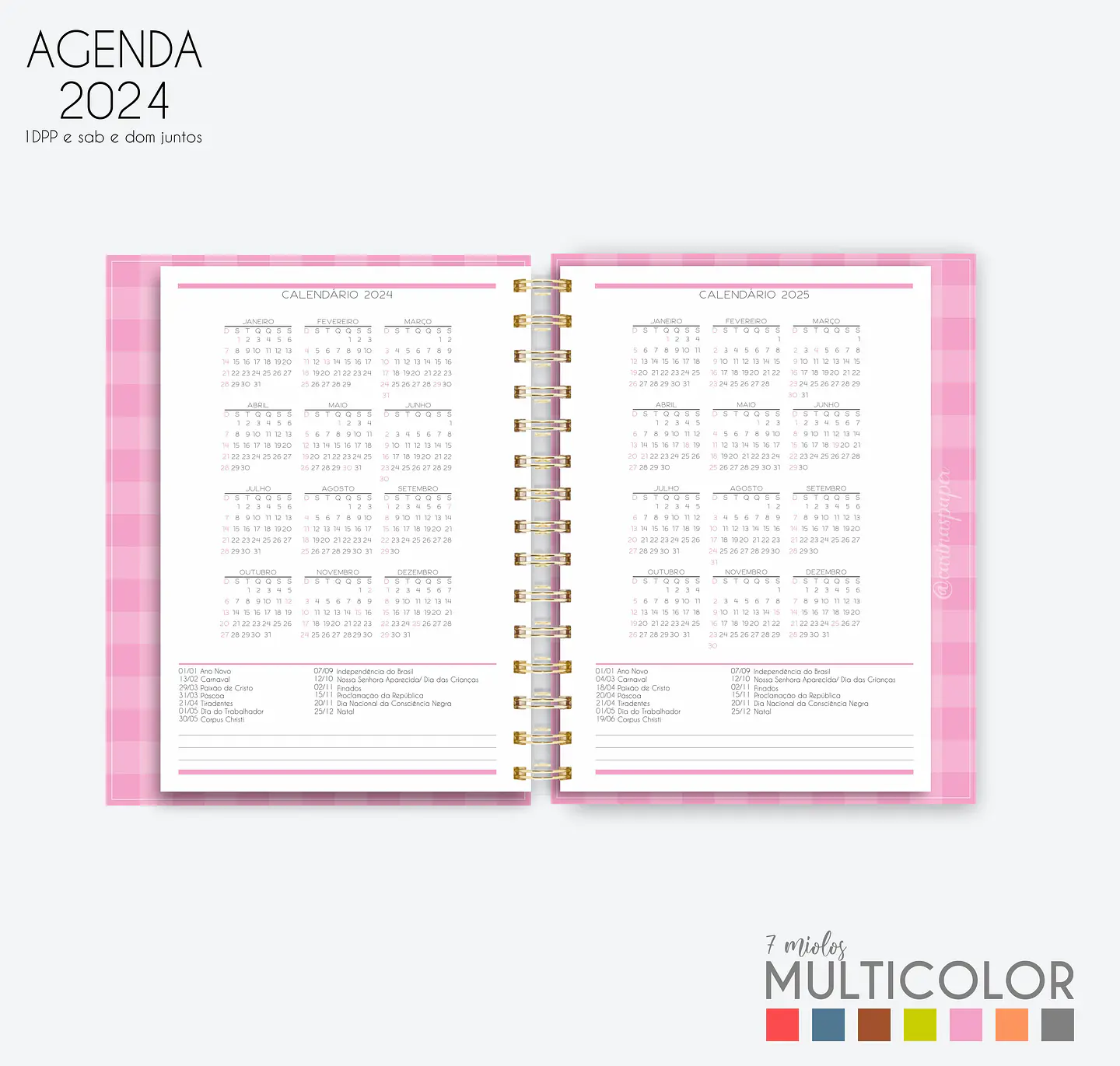 Arquivo Agenda MultiColor 2024 em Pdf  11