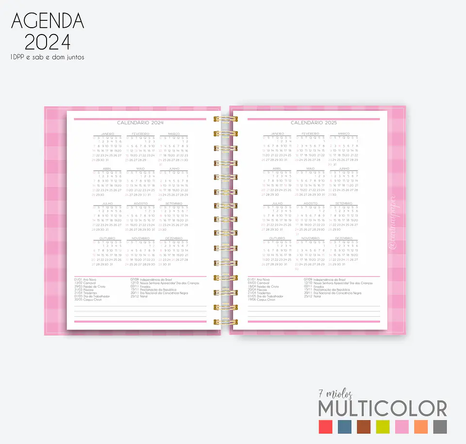 Arquivo Agenda MultiColor 2024 em Pdf  11