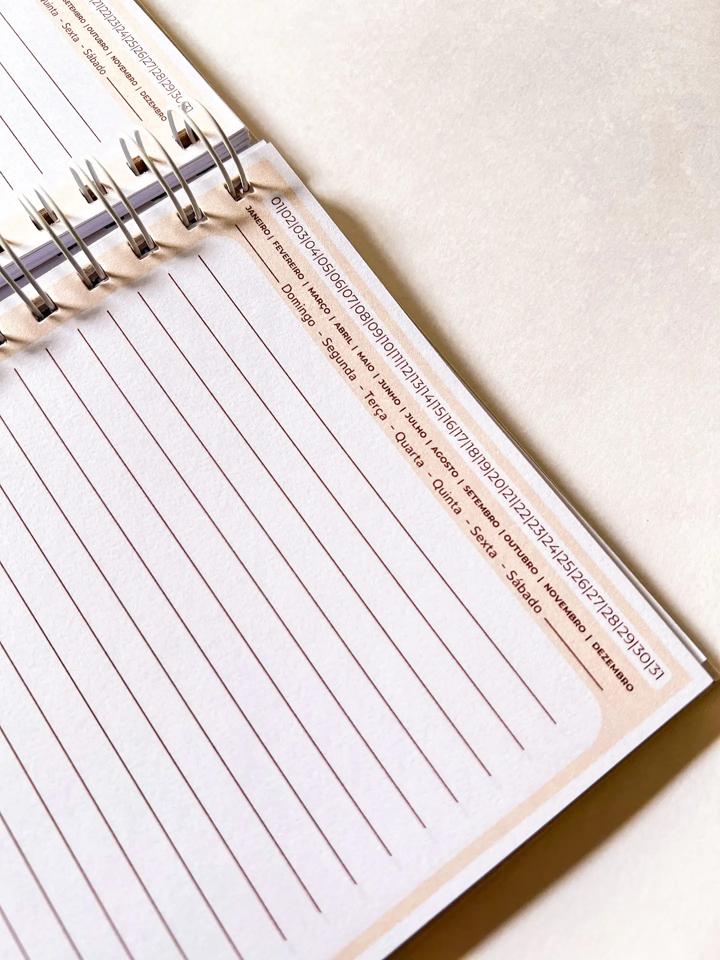 Arquivo Caderno Signos em Pdf 13