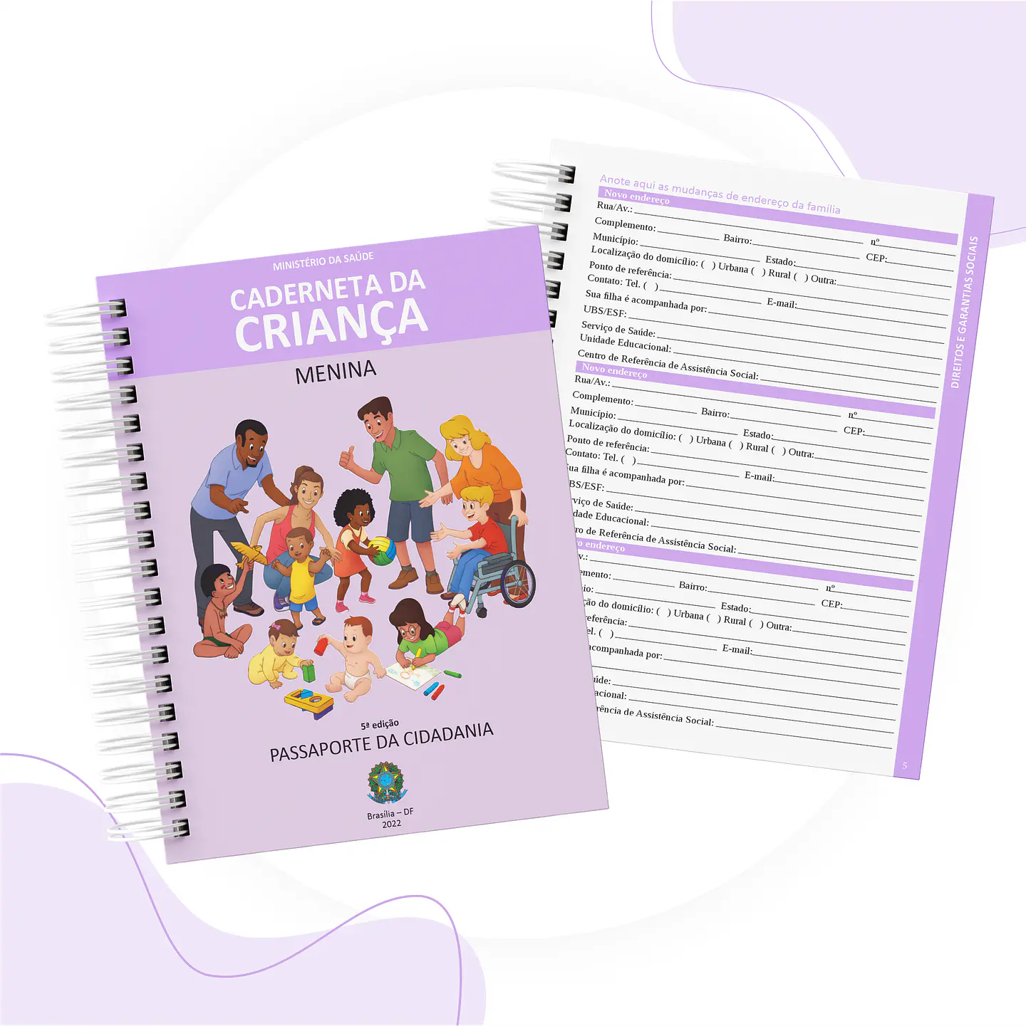 Arquivo Caderneta de Saúde Vacinas 5 edição em Pdf 10