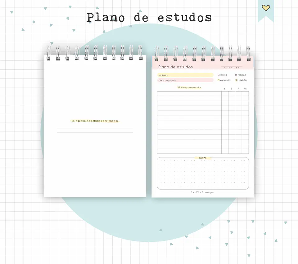 Arquivo Diário de Leituras e Planos de Estudo em Pdf 5