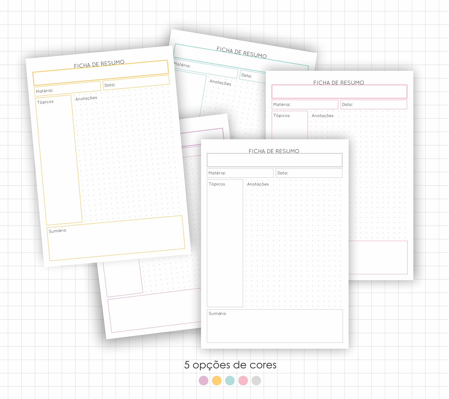 Arquivo Fichas de Estudo e Resumo em Pdf 2