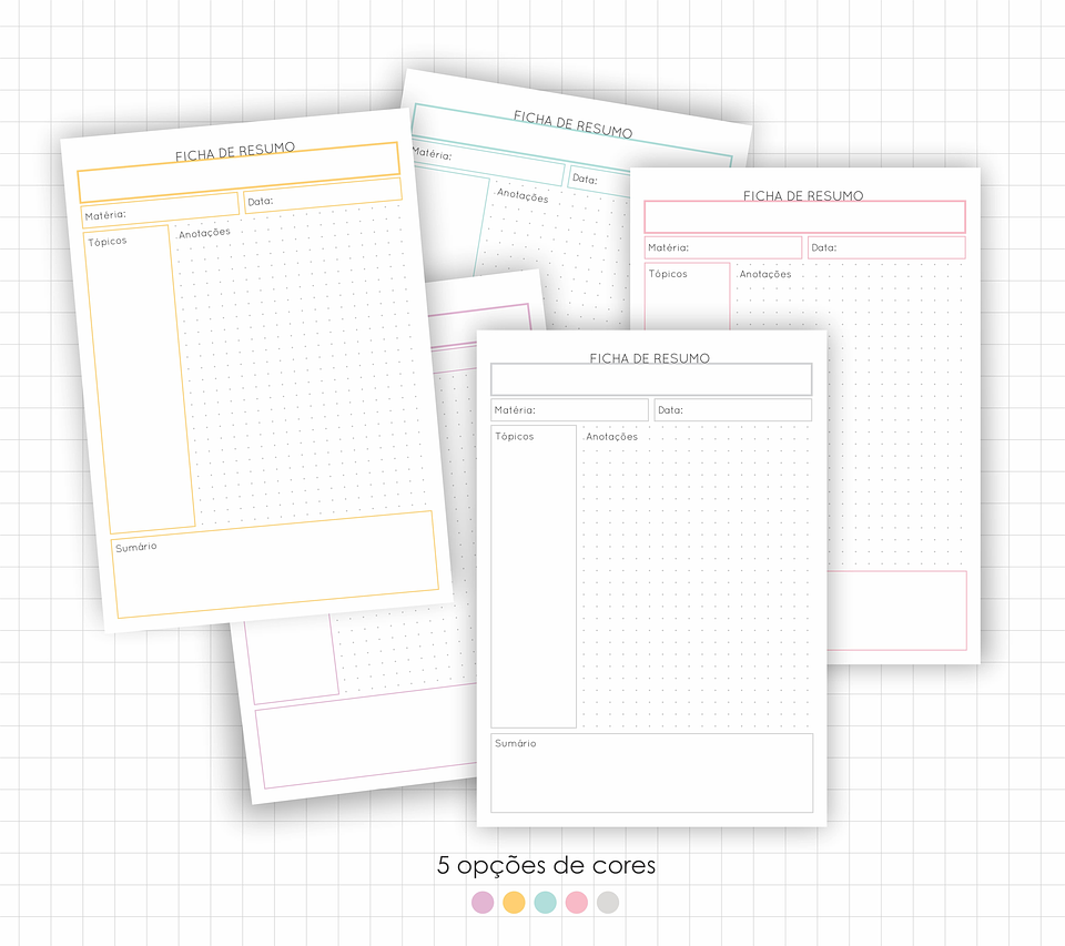 Arquivo Fichas de Estudo e Resumo em Pdf 2