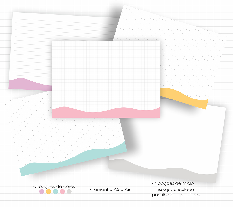 Arquivo Fichas de Estudo e Resumo em Pdf 3
