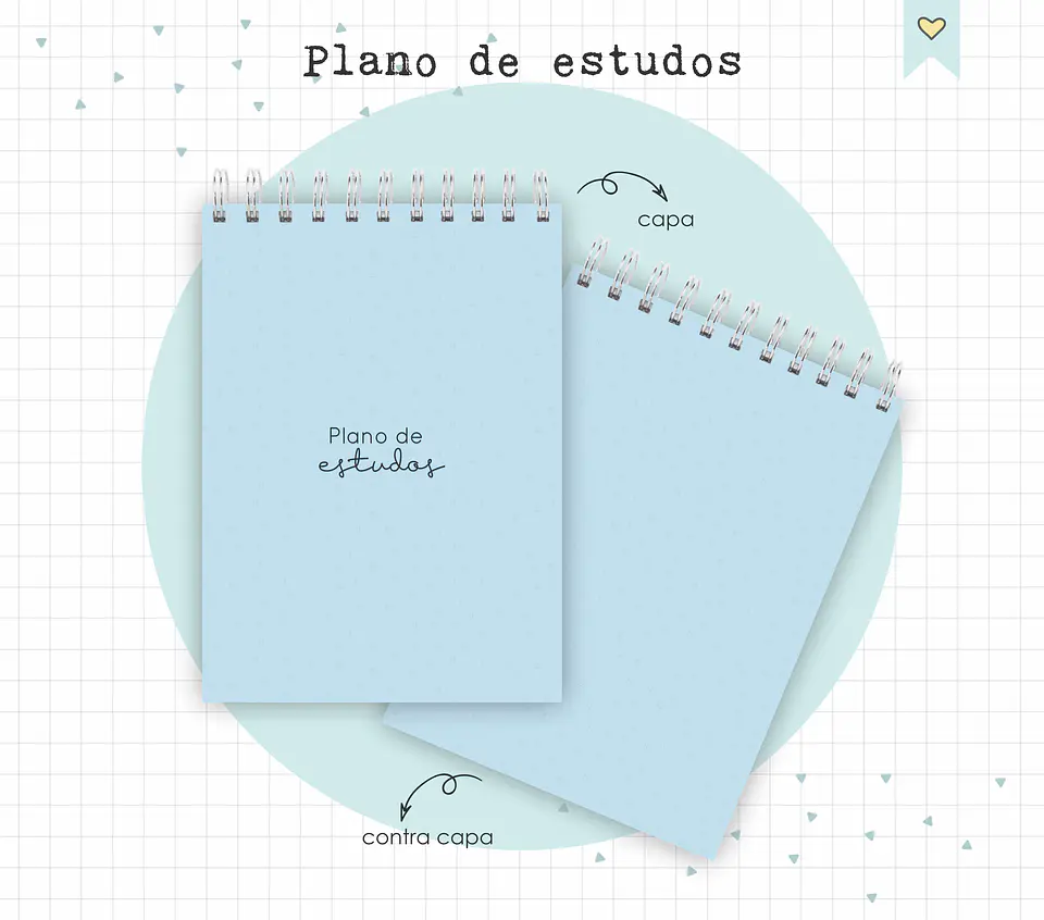 Arquivo Diário de Leituras e Planos de Estudo em Pdf 11