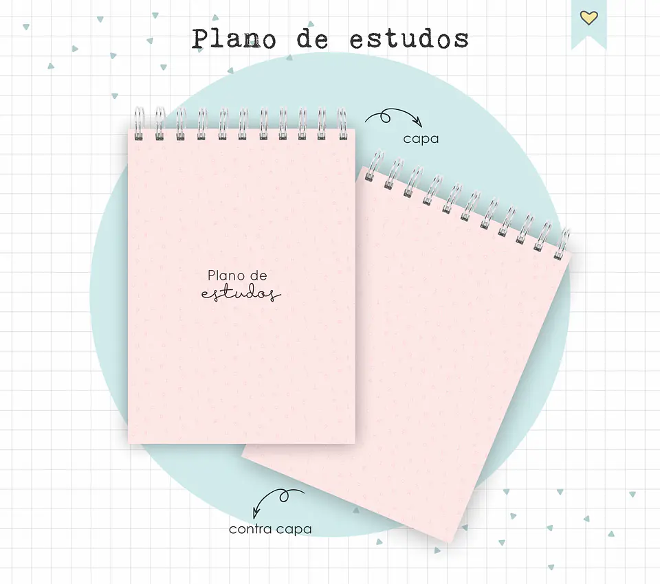 Arquivo Diário de Leituras e Planos de Estudo em Pdf 12