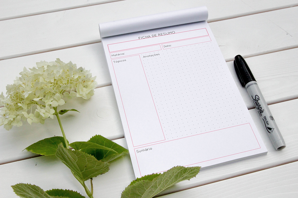Arquivo Fichas de Estudo e Resumo em Pdf 5