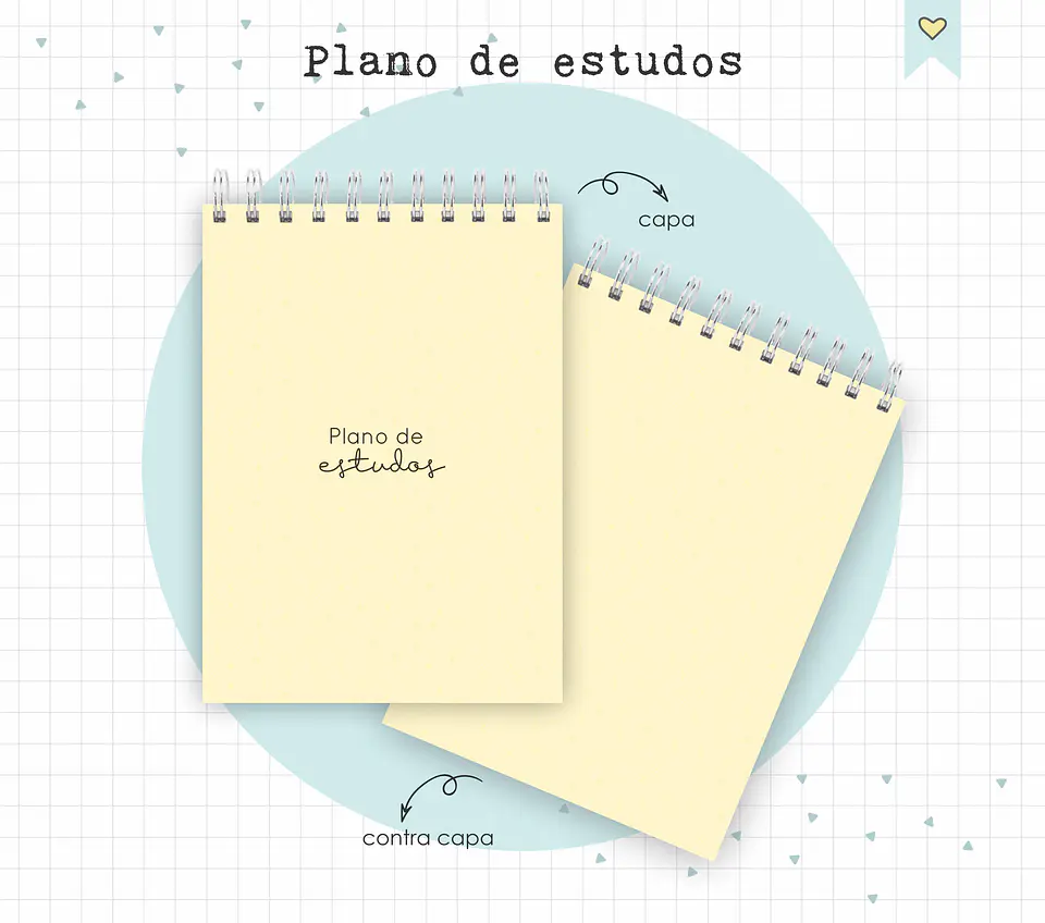 Arquivo Diário de Leituras e Planos de Estudo em Pdf 13