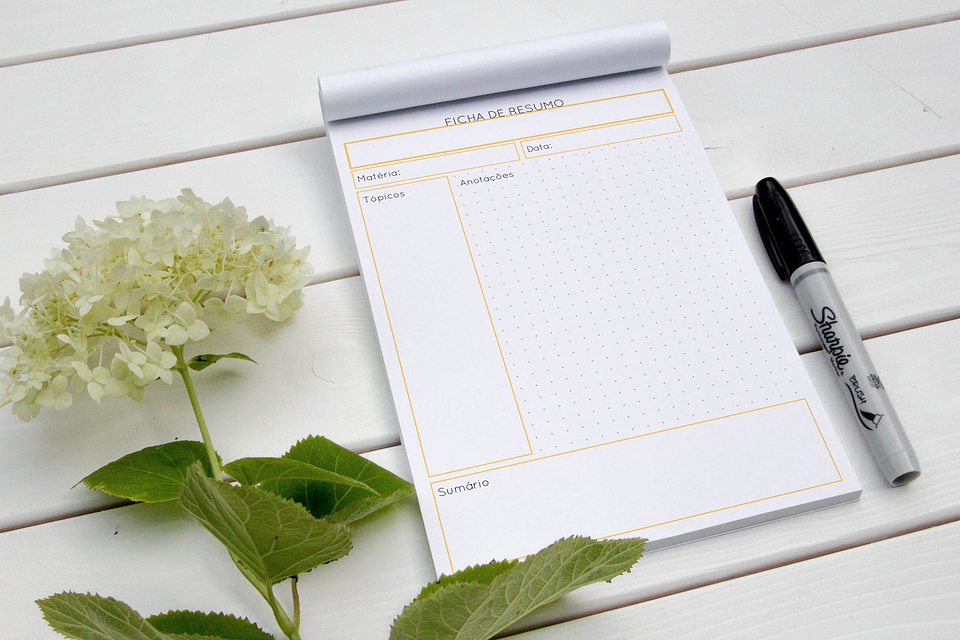 Arquivo Fichas de Estudo e Resumo em Pdf 6