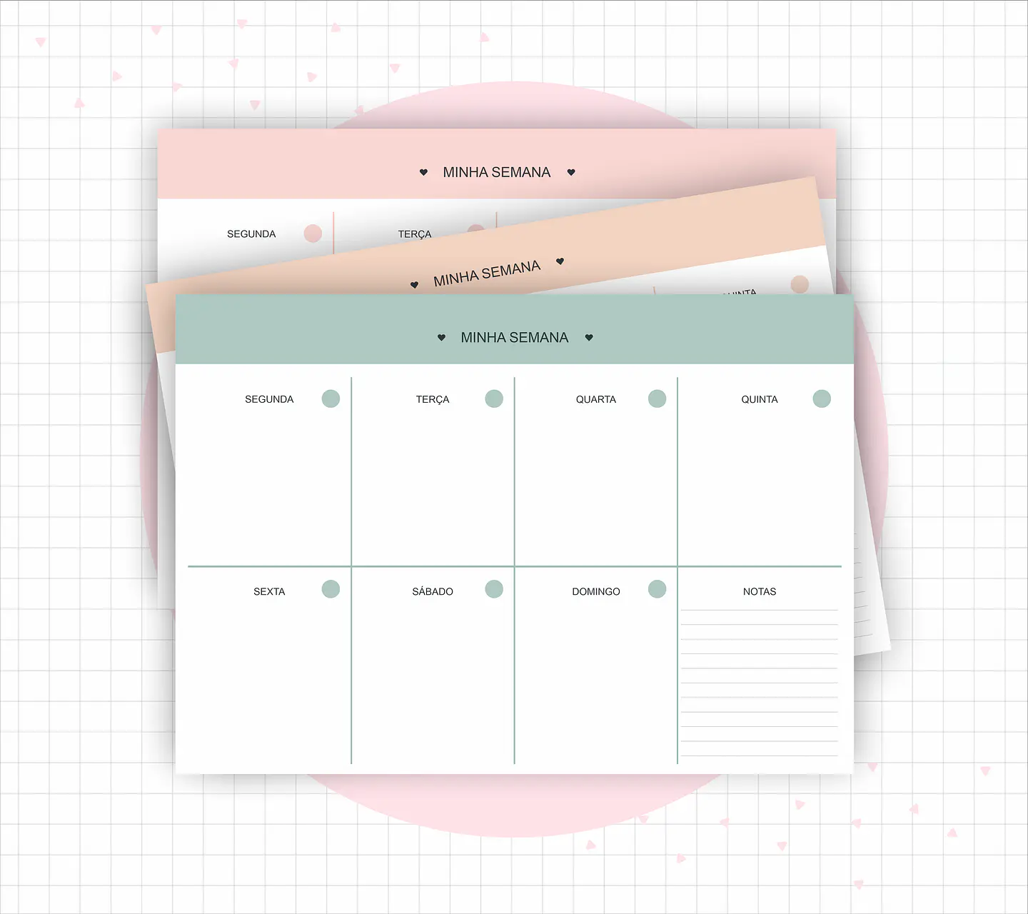 Arquivo Planejamento Semanal em Pdf 5