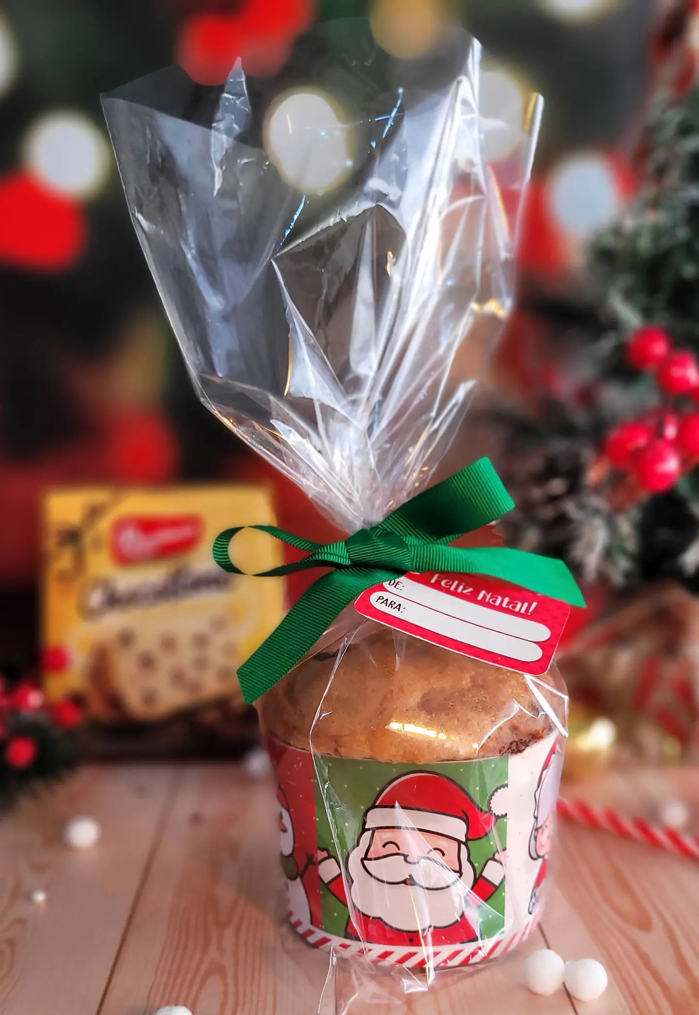 Arquivo de Corte Natal Papai Noel em Pdf 15