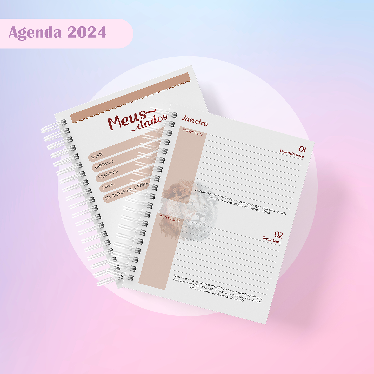 Arquivo Agenda Masculina e Feminina Cristã 2024 Arquivo em Pdf 12