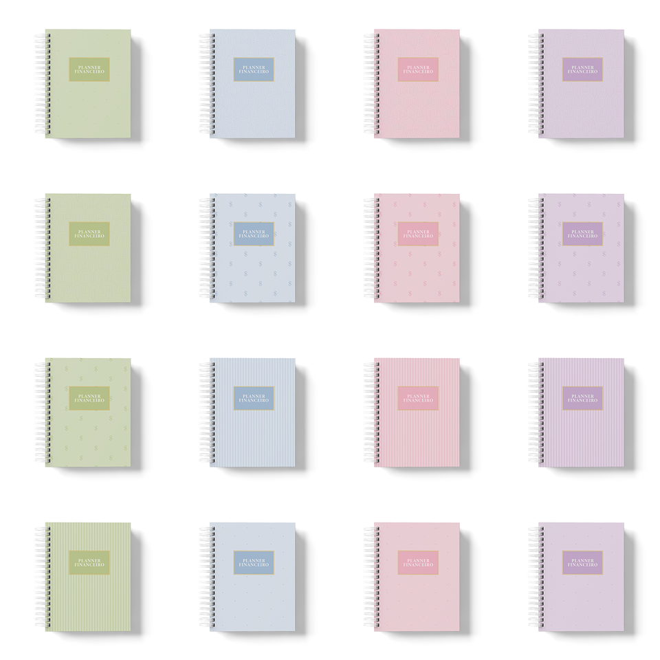 Arquivo Planner Financeiro 2024 em Pdf 1