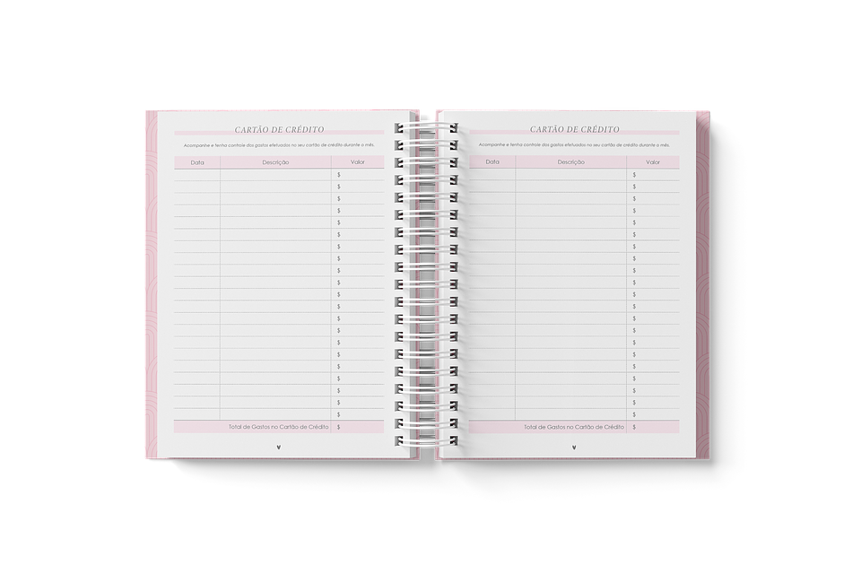 Arquivo Planner Financeiro 2024 em Pdf 3