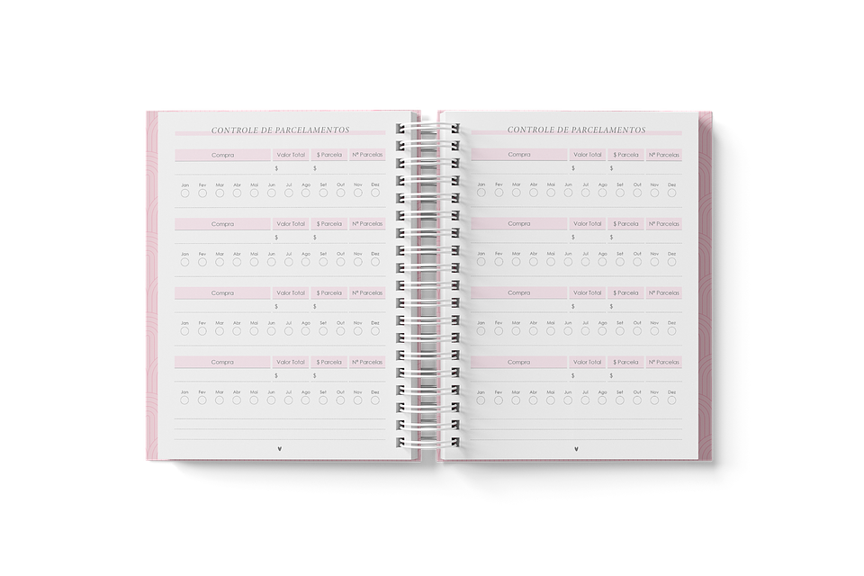 Arquivo Planner Financeiro 2024 em Pdf 5