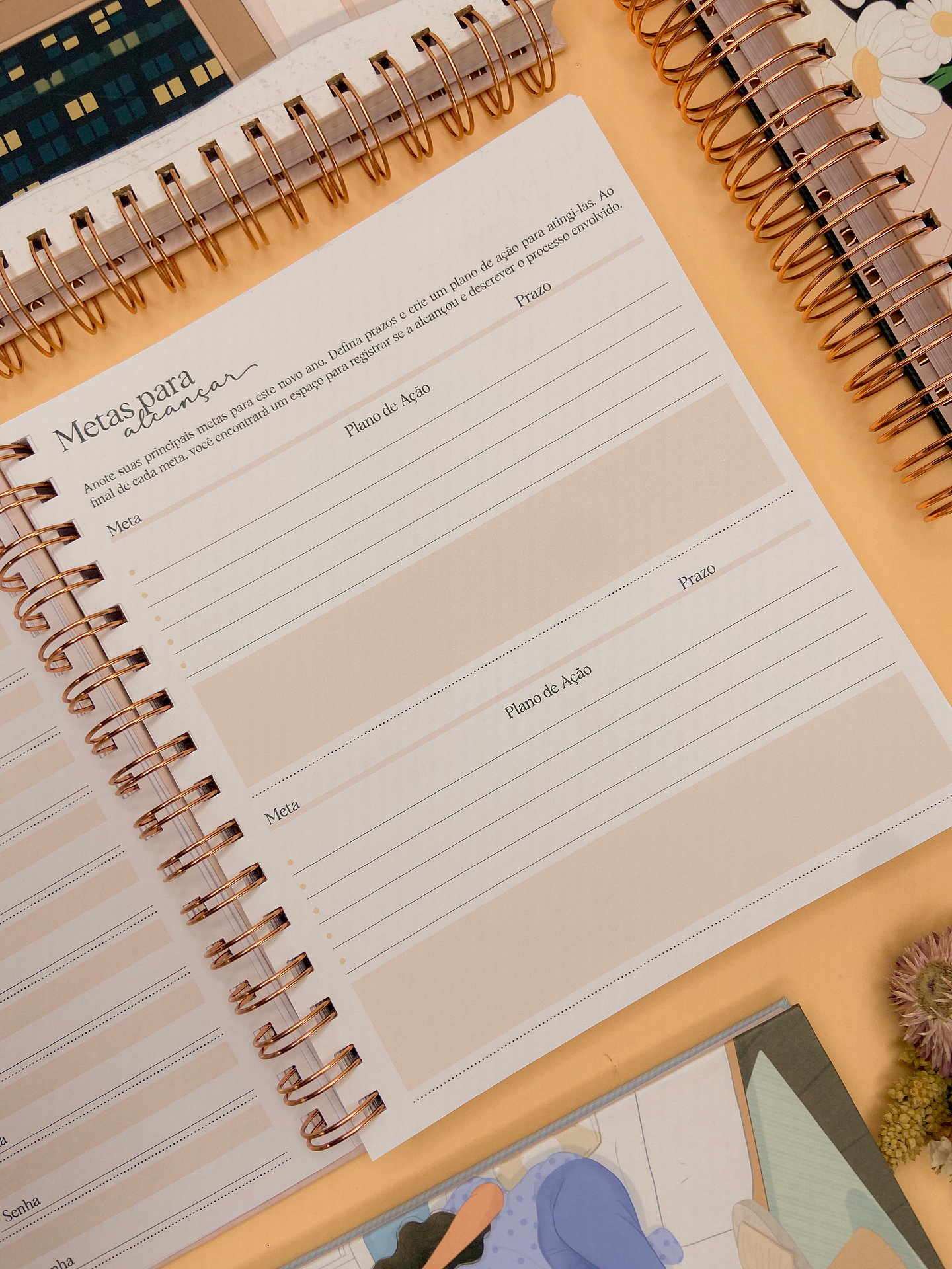 Arquivo Agenda Coleção Momentos 2024 em Pdf  8