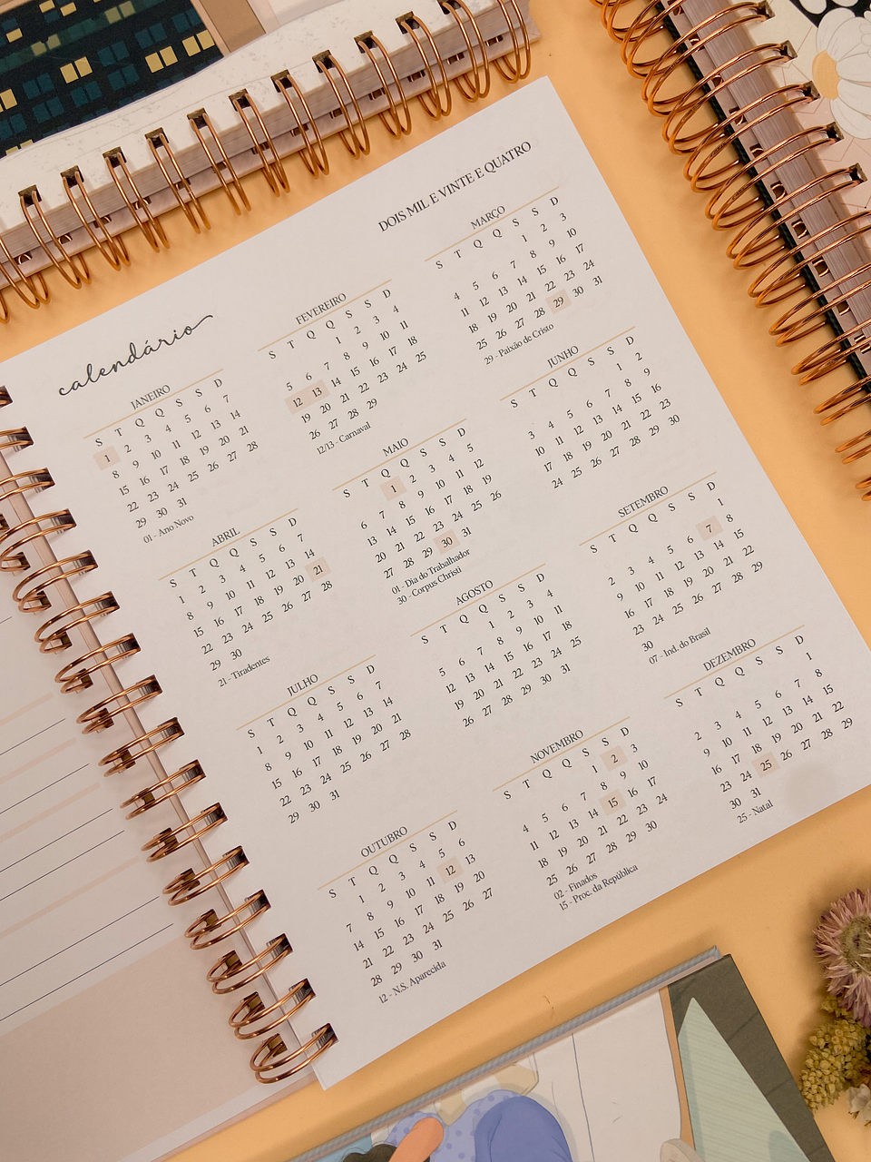 Arquivo Agenda Coleção Momentos 2024 em Pdf  9