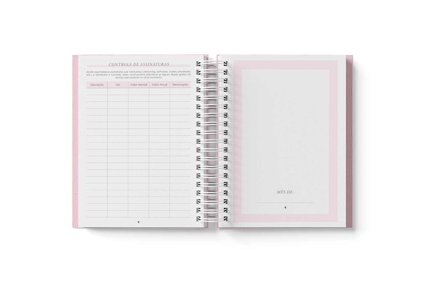 Arquivo Planner Financeiro 2024 em Pdf 6