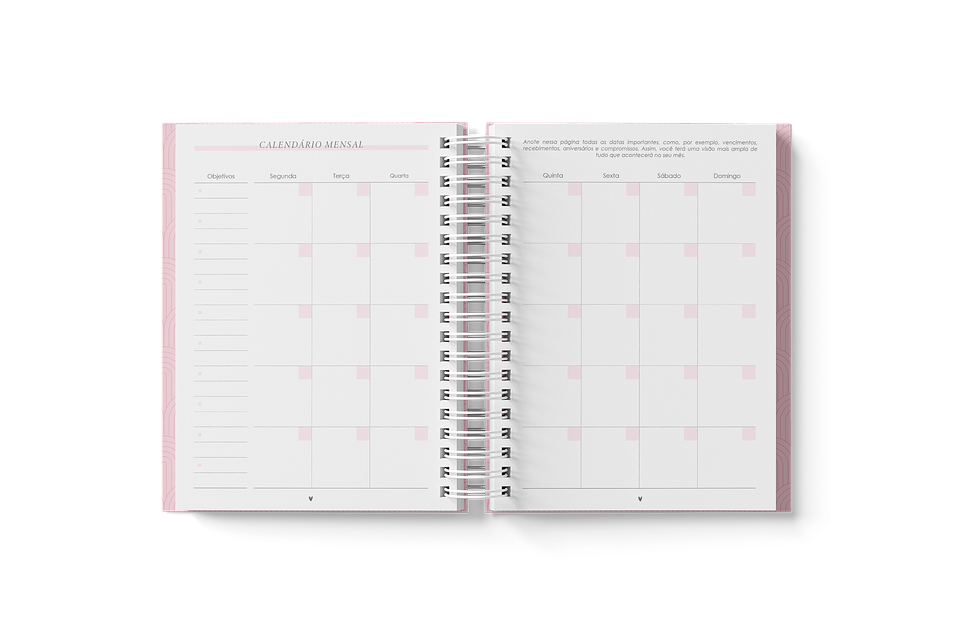 Arquivo Planner Financeiro 2024 em Pdf 7