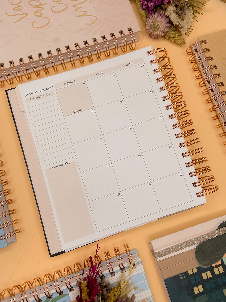 Arquivo Agenda Coleção Momentos 2024 em Pdf  14