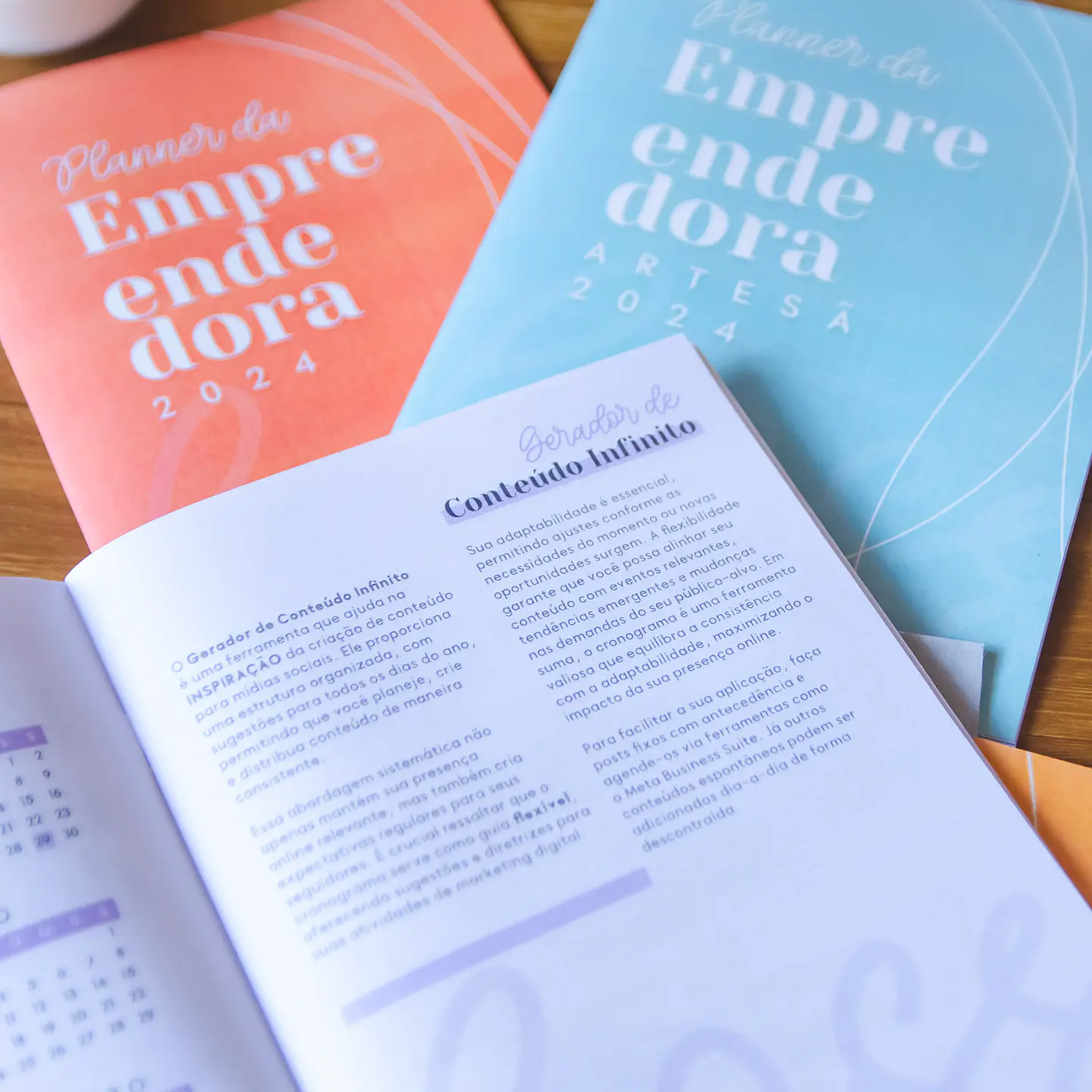 Arquivo Planner Agenda Empreendedora Artesã em Pdf 4