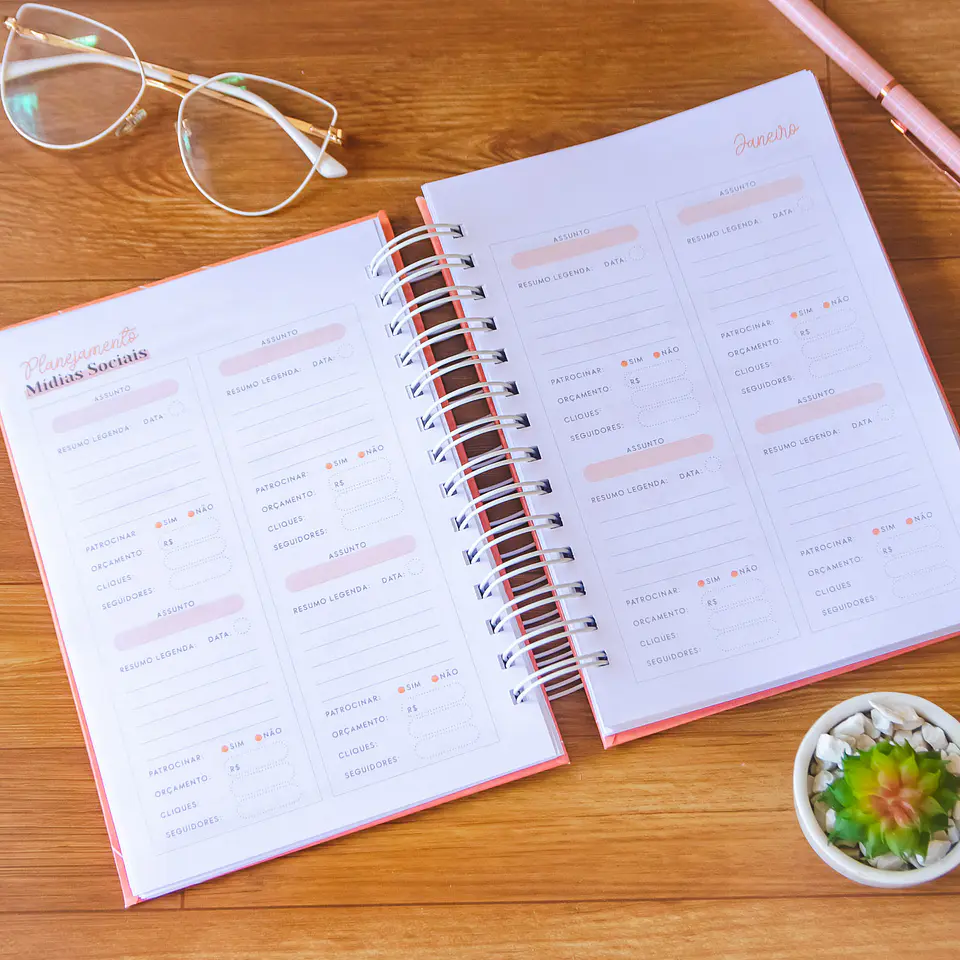 Arquivo Planner Agenda Empreendedora Artesã em Pdf 9