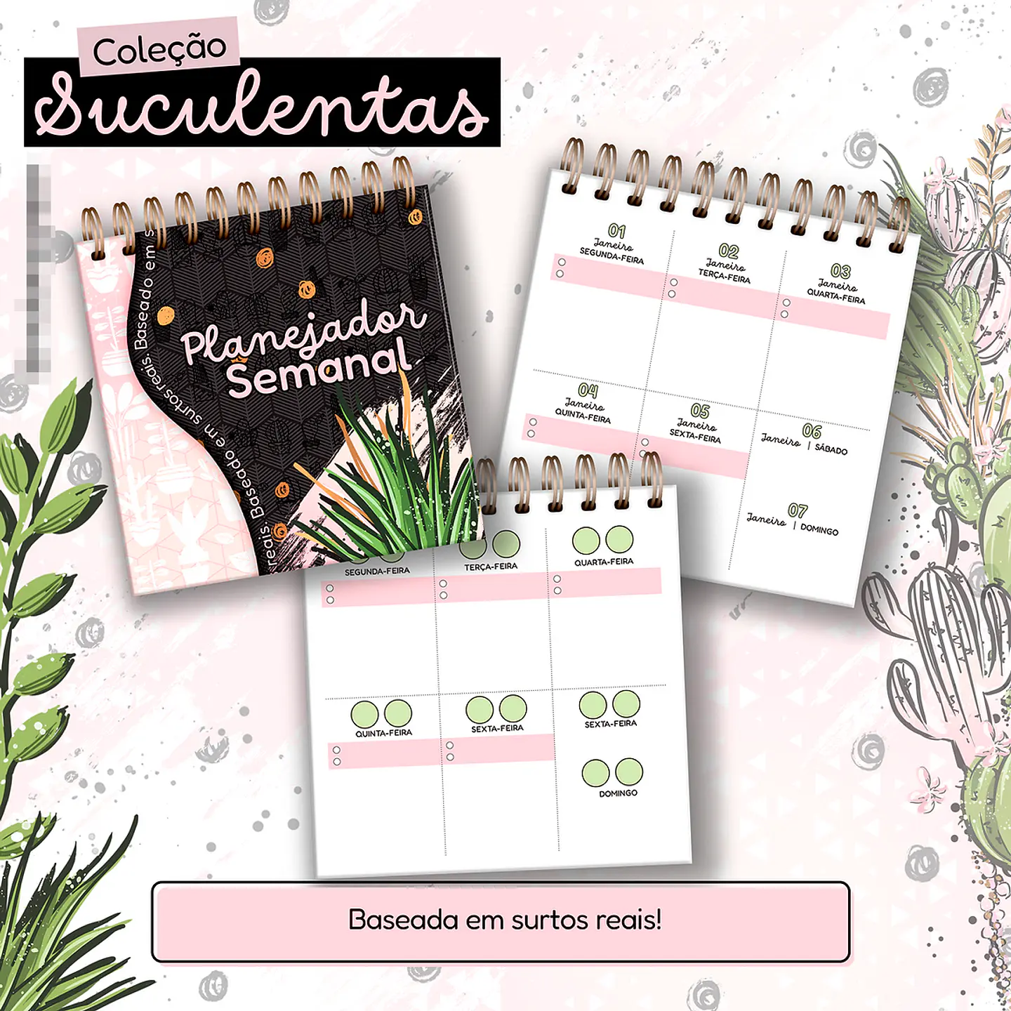 Arquivo Agenda Suculentas 2024 em Pdf 2