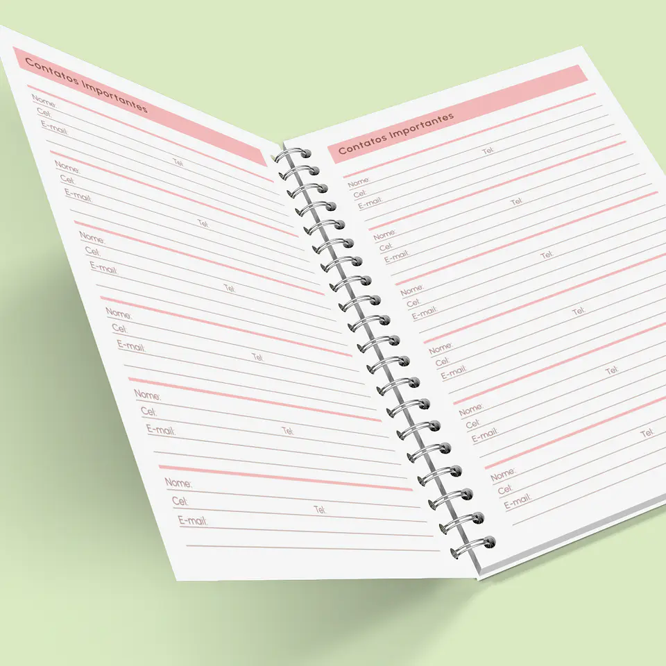 Arquivo Caderno de Controle Doméstico em Pdf  4