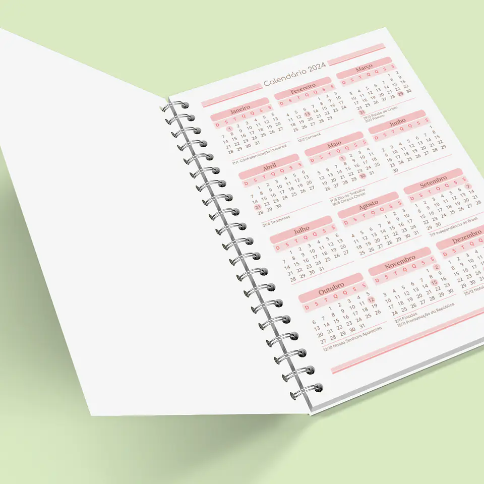 Arquivo Caderno de Controle Doméstico em Pdf  9