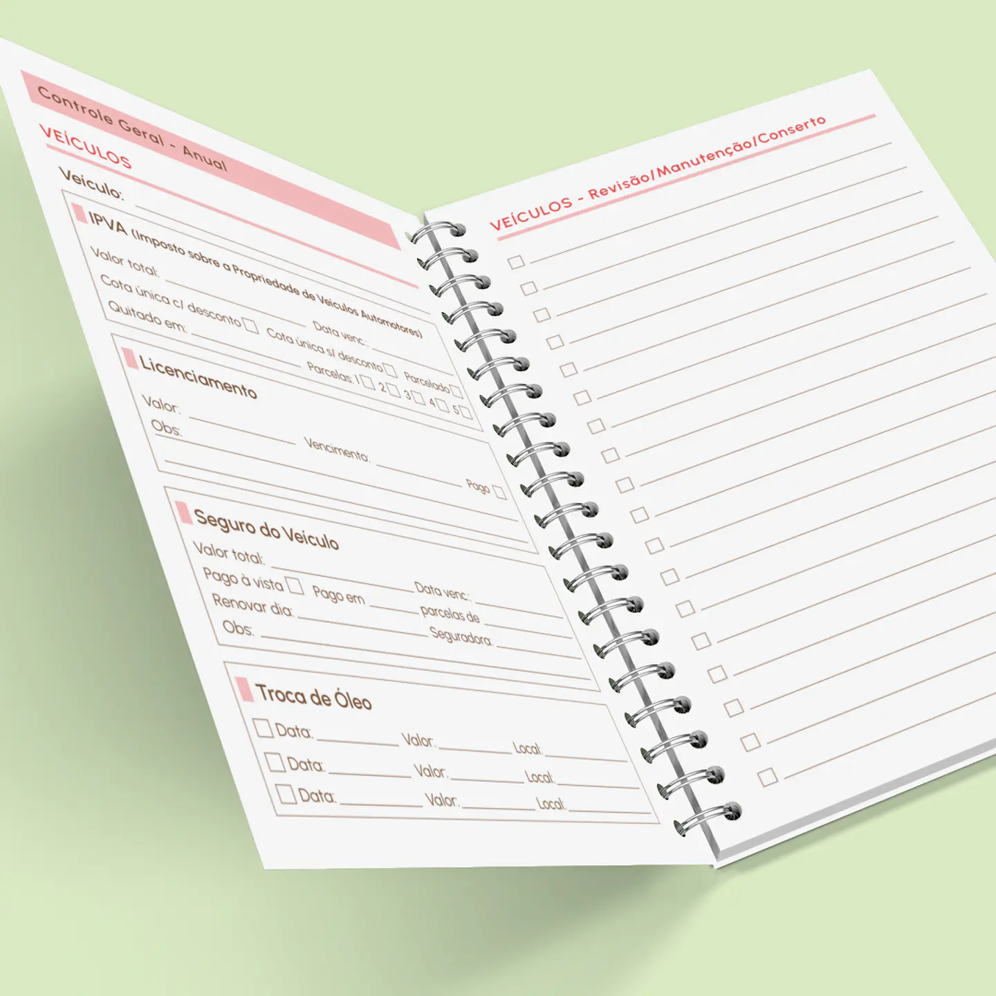 Arquivo Caderno de Controle Doméstico em Pdf  13