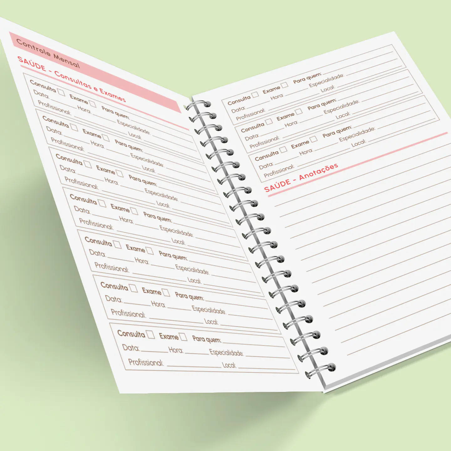 Arquivo Caderno de Controle Doméstico em Pdf  17