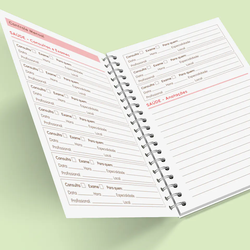 Arquivo Caderno de Controle Doméstico em Pdf  17